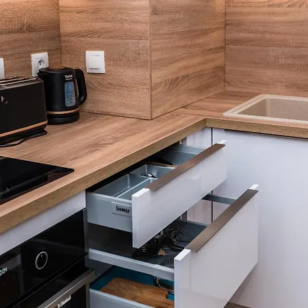 Apartment Mickiewiczova Free Parking By Veronika & Jano Pressburg